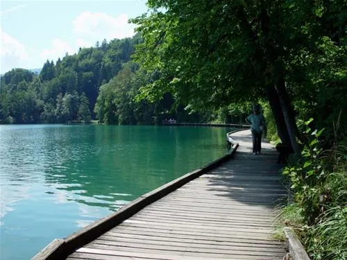 camping-bled-bled-m6q7l