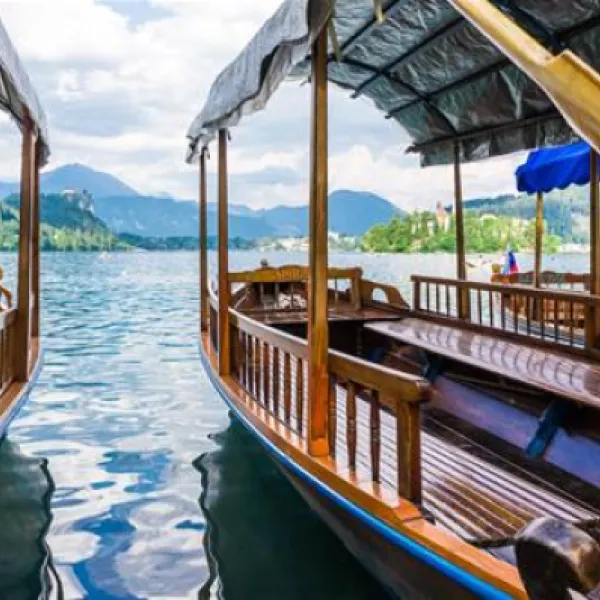 camping-bled-bled-rz2tp