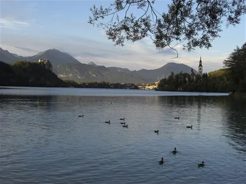 camping-bled-bled-zhz2k