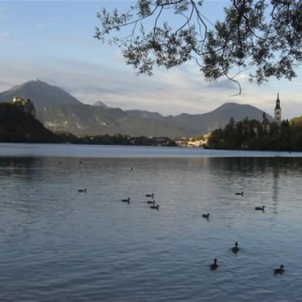 camping-bled-bled-zhz2k