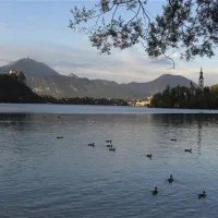 camping-bled-bled-zhz2k