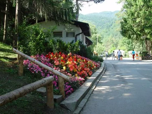 camping-bled-bled-zkkvn