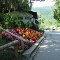 camping-bled-bled-zkkvn