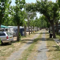 la-siesta-salou-camping-resort-salou-wplyx