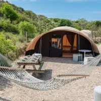 kennemer-duincamping-de-lakens-bloemendaal-aan-zee-ew6s0