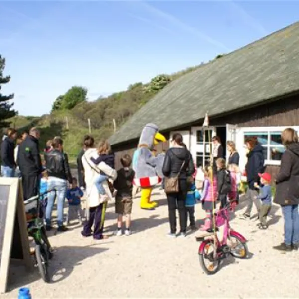 kennemer-duincamping-de-lakens-bloemendaal-aan-zee-qhqub