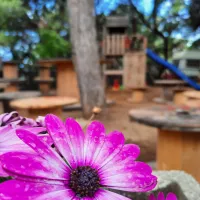camping-internazionale-nettuno-agrigento-qemeh