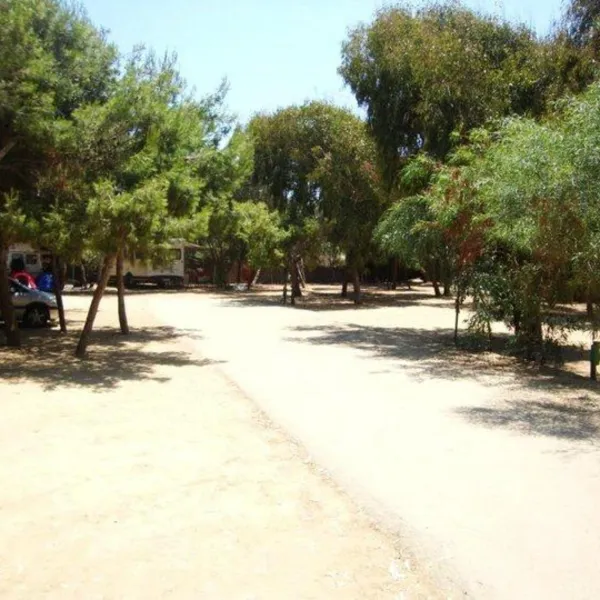 Camping Internazionale Nettuno