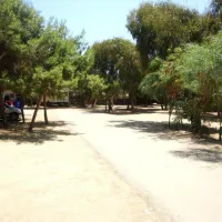 camping-internazionale-nettuno-agrigento-yzvef