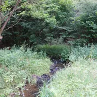 camping-tro-do-way-bertogne-ch9ga
