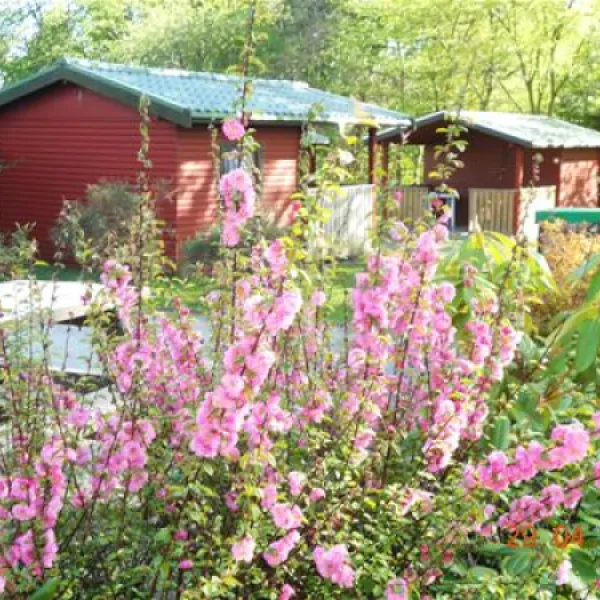 nyrup-camping-kvistgrd-denho