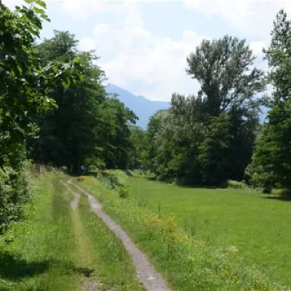 tcs-camping-bellinzona-bellinzona-nwwks
