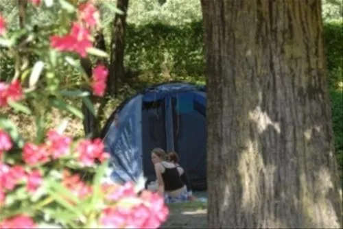 tcs-camping-bellinzona-bellinzona-rvv8b