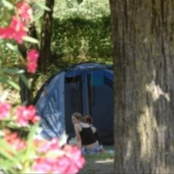 tcs-camping-bellinzona-bellinzona-rvv8b
