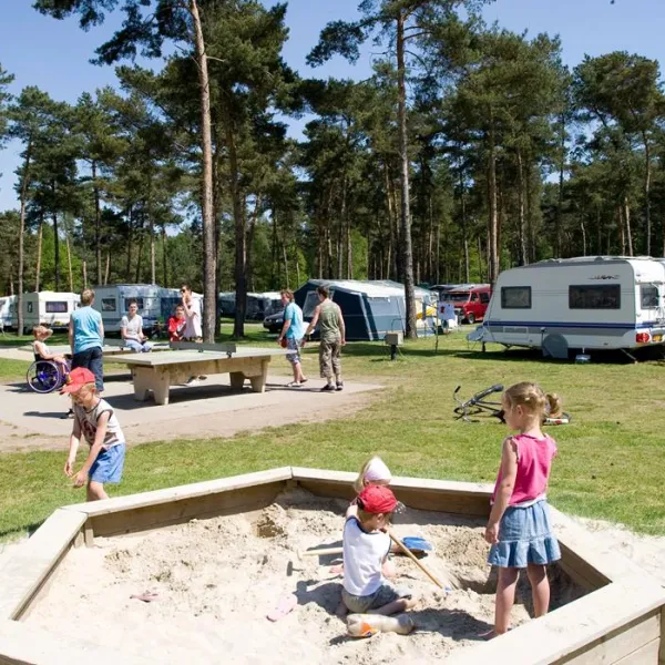 Camping en Speelpark De Heldense Bossen