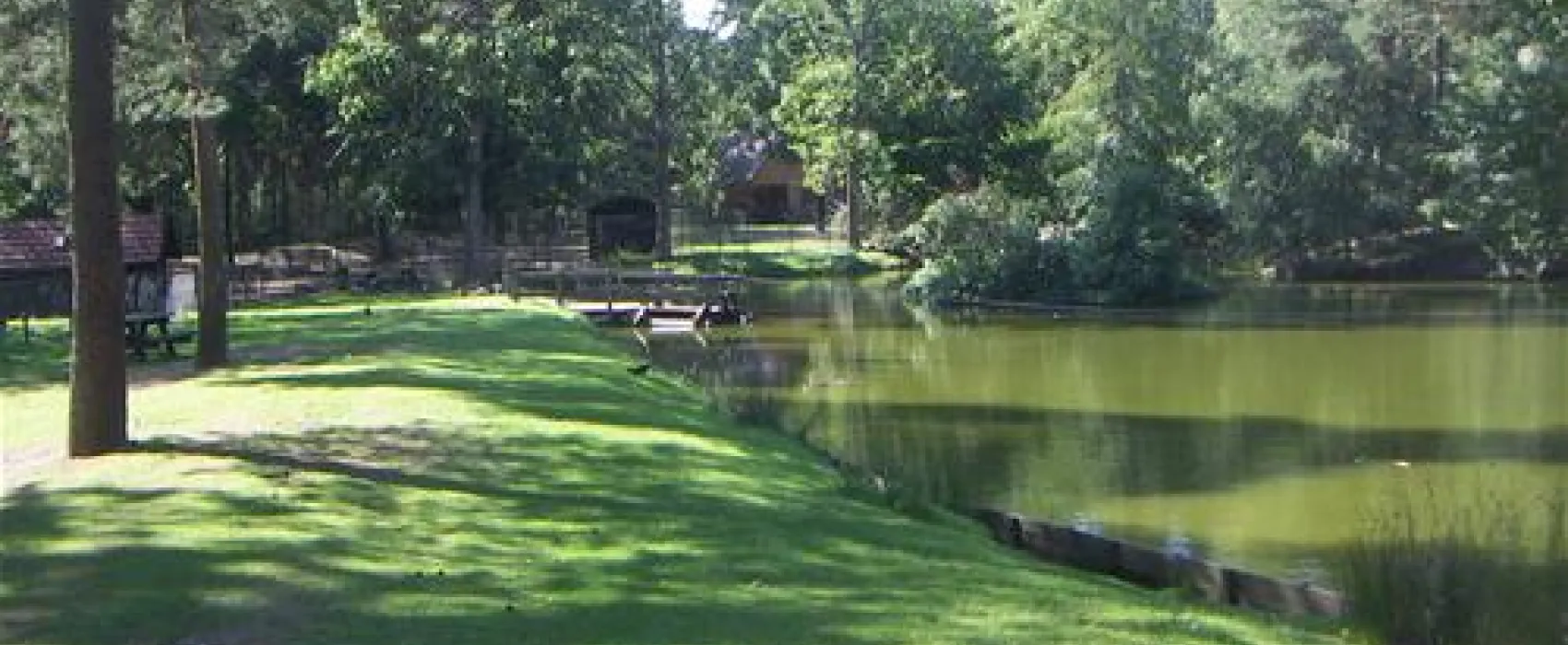Camping en Speelpark De Heldense Bossen