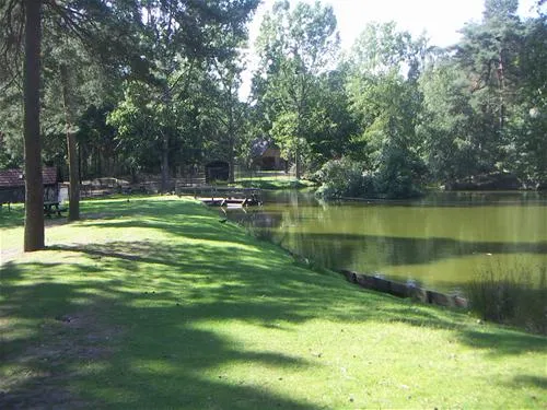 camping-en-speelpark-de-heldense-bossen-helden-7bhym