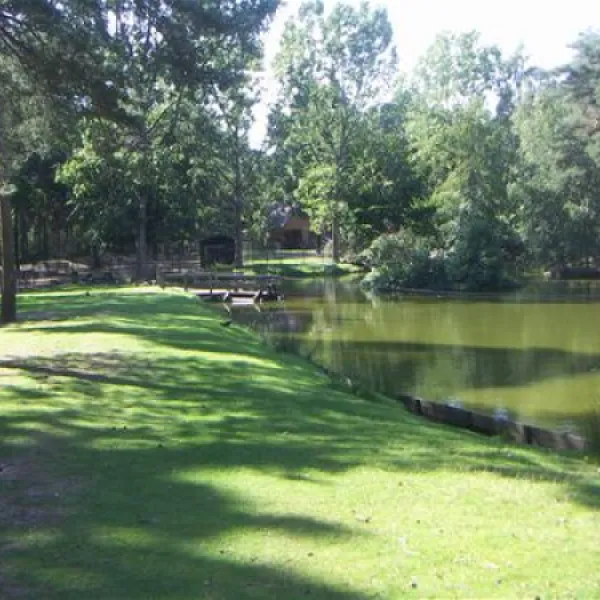camping-en-speelpark-de-heldense-bossen-helden-7bhym