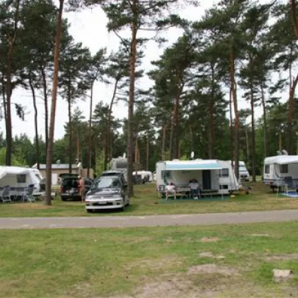 camping-en-speelpark-de-heldense-bossen-helden-ezfxw