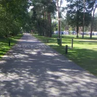 camping-en-speelpark-de-heldense-bossen-helden-ftn7k