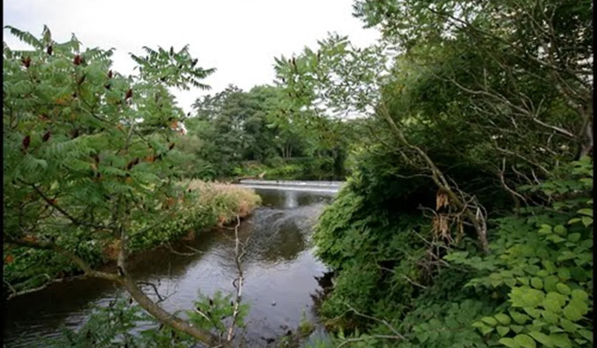 camping-les-acacias-cernay-h5mwn