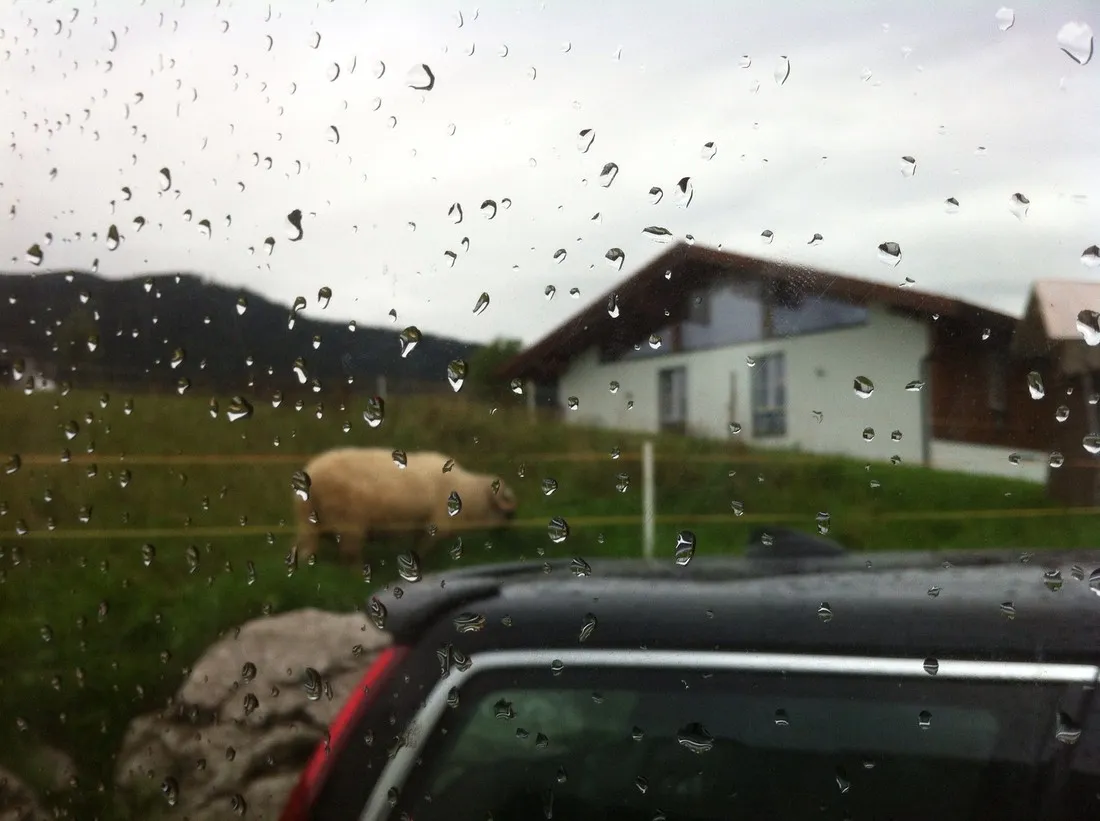 camping-lindlbauer-inzell-pjy2h