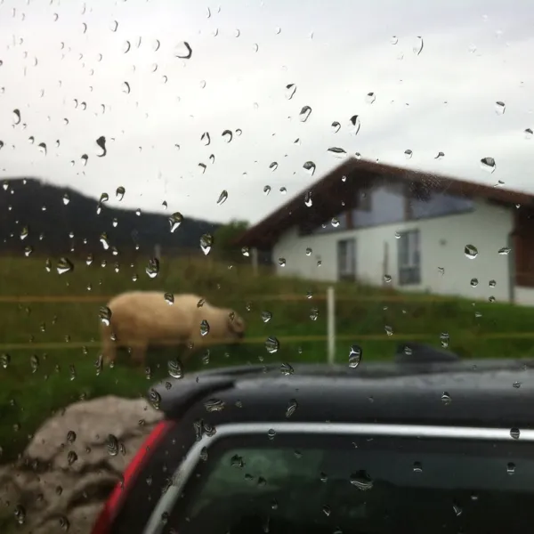 camping-lindlbauer-inzell-pjy2h
