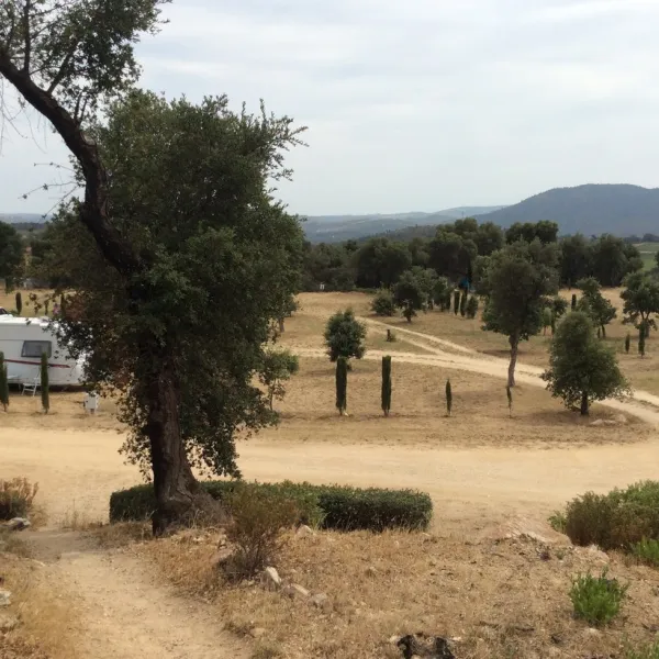 camping-les-pedres-capmany-5drqt