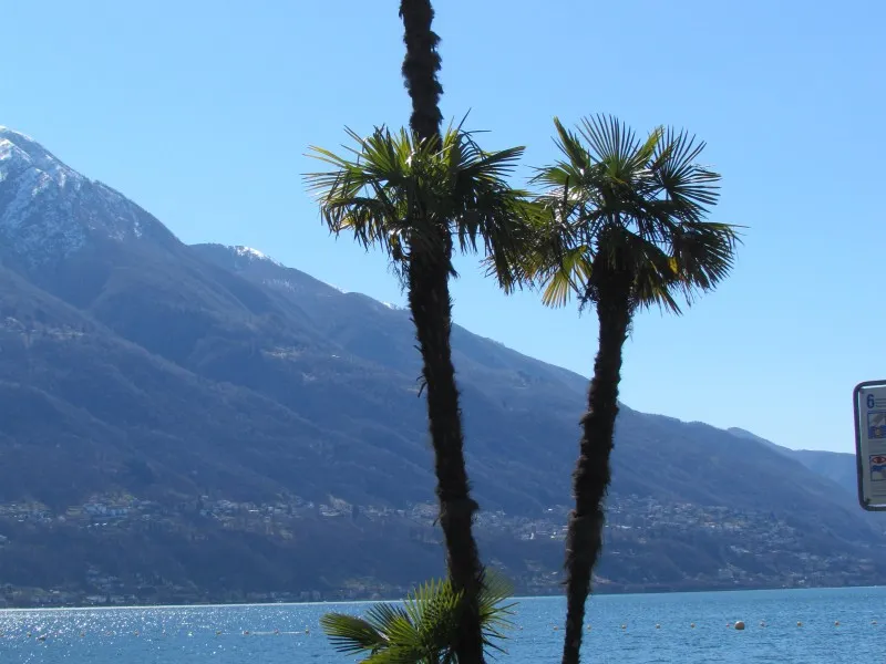 camping-campofelice-tenero-ktsn1
