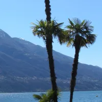 camping-campofelice-tenero-ktsn1