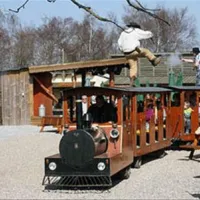 western-camp-rdby-rpdbk