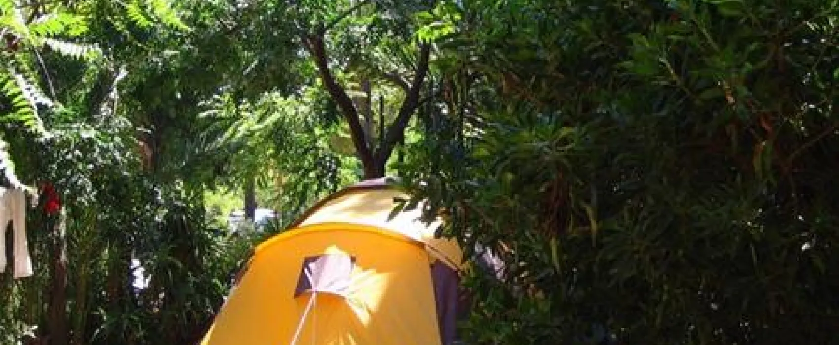 Camping los Pinos