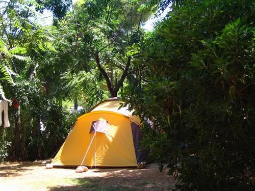 camping-los-pinos-dnia-8qiak