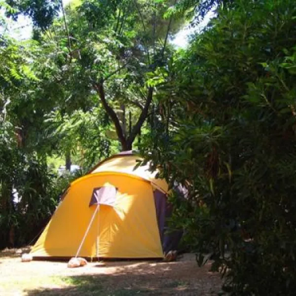 camping-los-pinos-dnia-8qiak