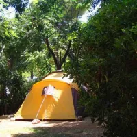 camping-los-pinos-dnia-8qiak