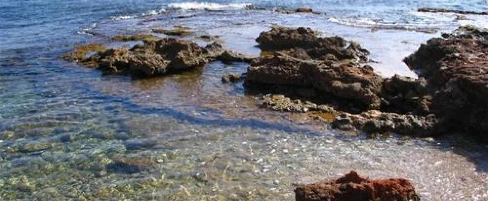 Camping los Pinos