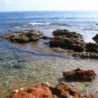 camping-los-pinos-dnia-enrcl