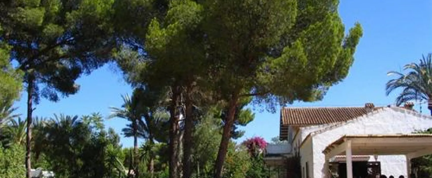 Camping los Pinos