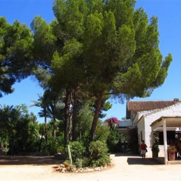camping-los-pinos-dnia-gr6gm