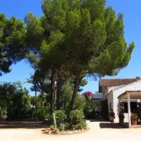 camping-los-pinos-dnia-gr6gm