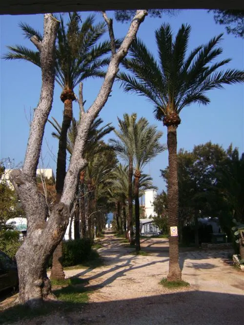 camping-los-pinos-dnia-hh7ly