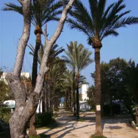 camping-los-pinos-dnia-hh7ly