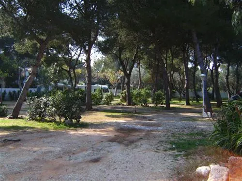 camping-los-pinos-dnia-likmd