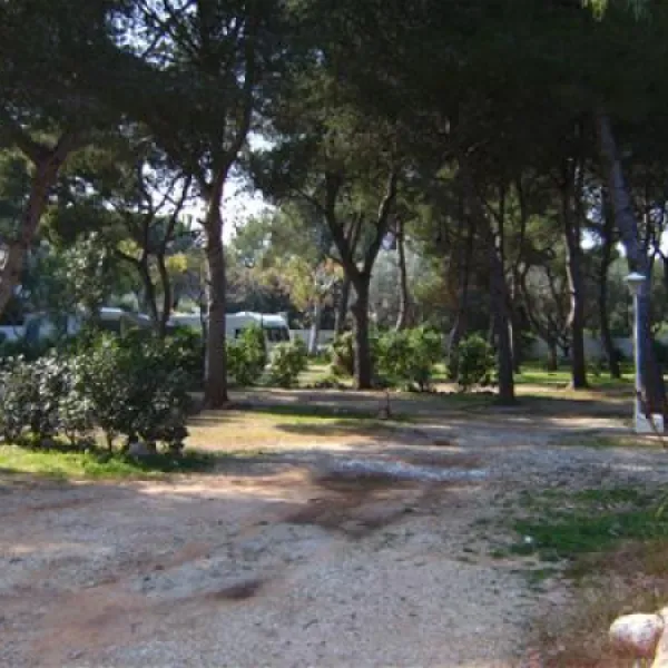 camping-los-pinos-dnia-likmd