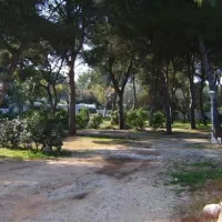 camping-los-pinos-dnia-likmd