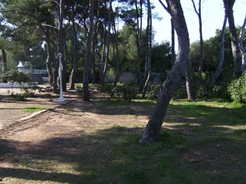 camping-los-pinos-dnia-ut8jp
