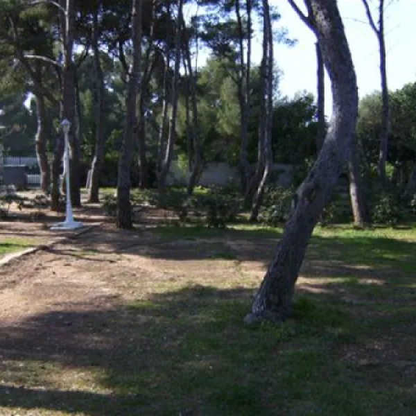 camping-los-pinos-dnia-ut8jp