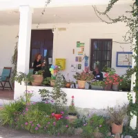 Camping los Pinos