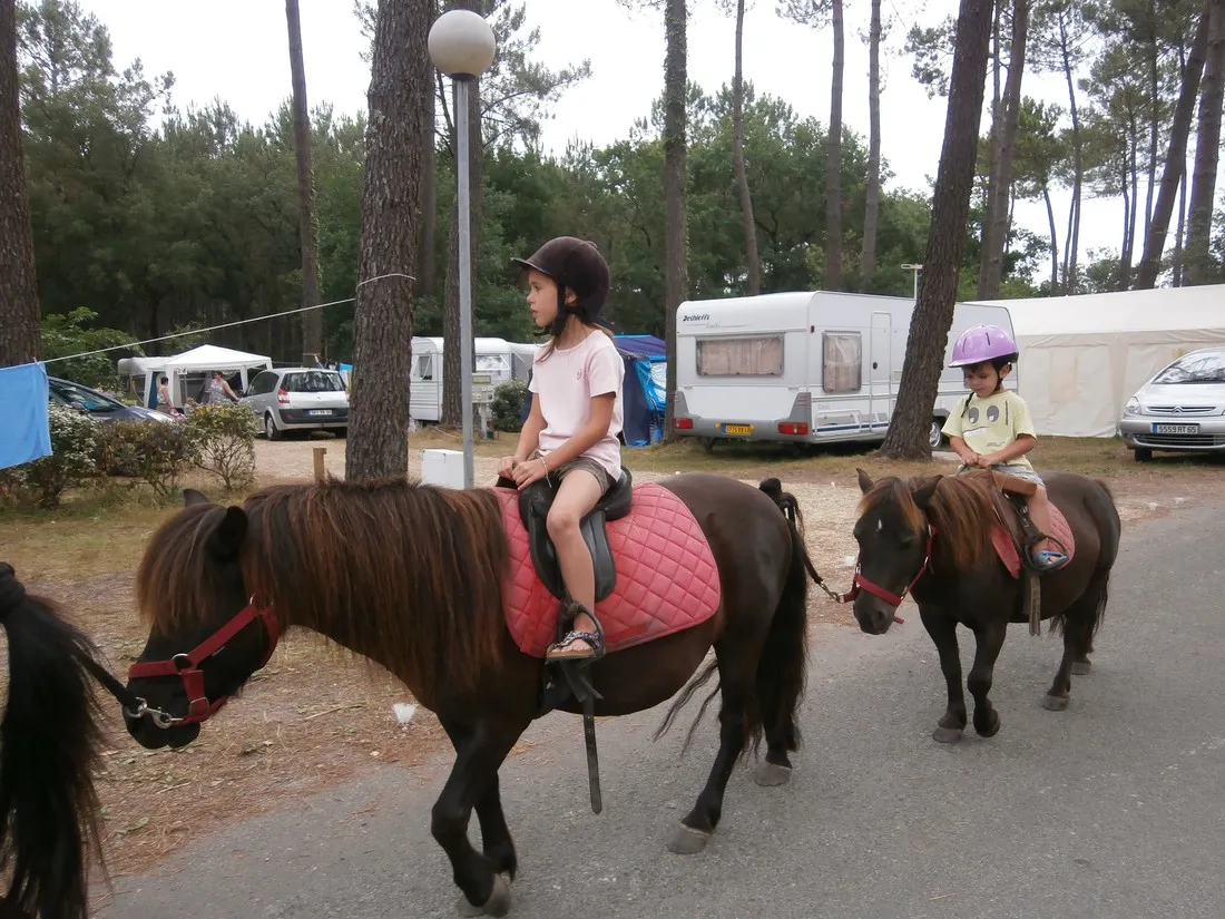 camping-la-pomme-de-pin-saubion-12vw7