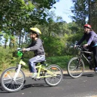 camping-la-pomme-de-pin-saubion-v8cqc